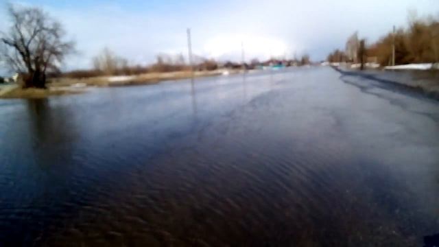 Паводок в Завьяловском районе, с. Чистоозерка смотреть онлайн