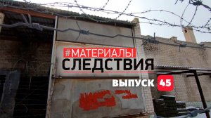 Материалы Следствия. Выпуск 45