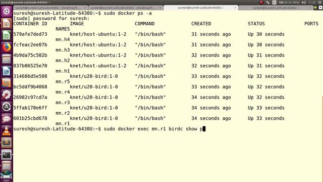 SDN Project - BGP Multiple Routers IBGP/EBGP/Route Reflector/ NFV in Software Defined Networking смотреть онлайн