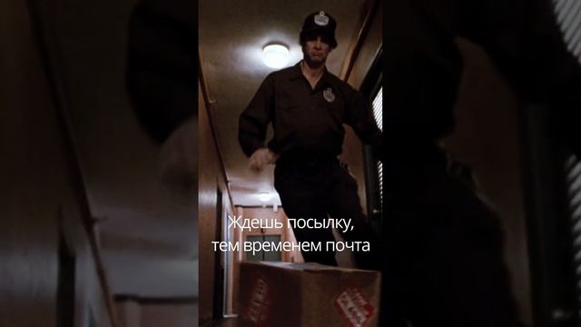 Эйс Вентура: Розыск домашних животных, 1993 смотреть онлайн