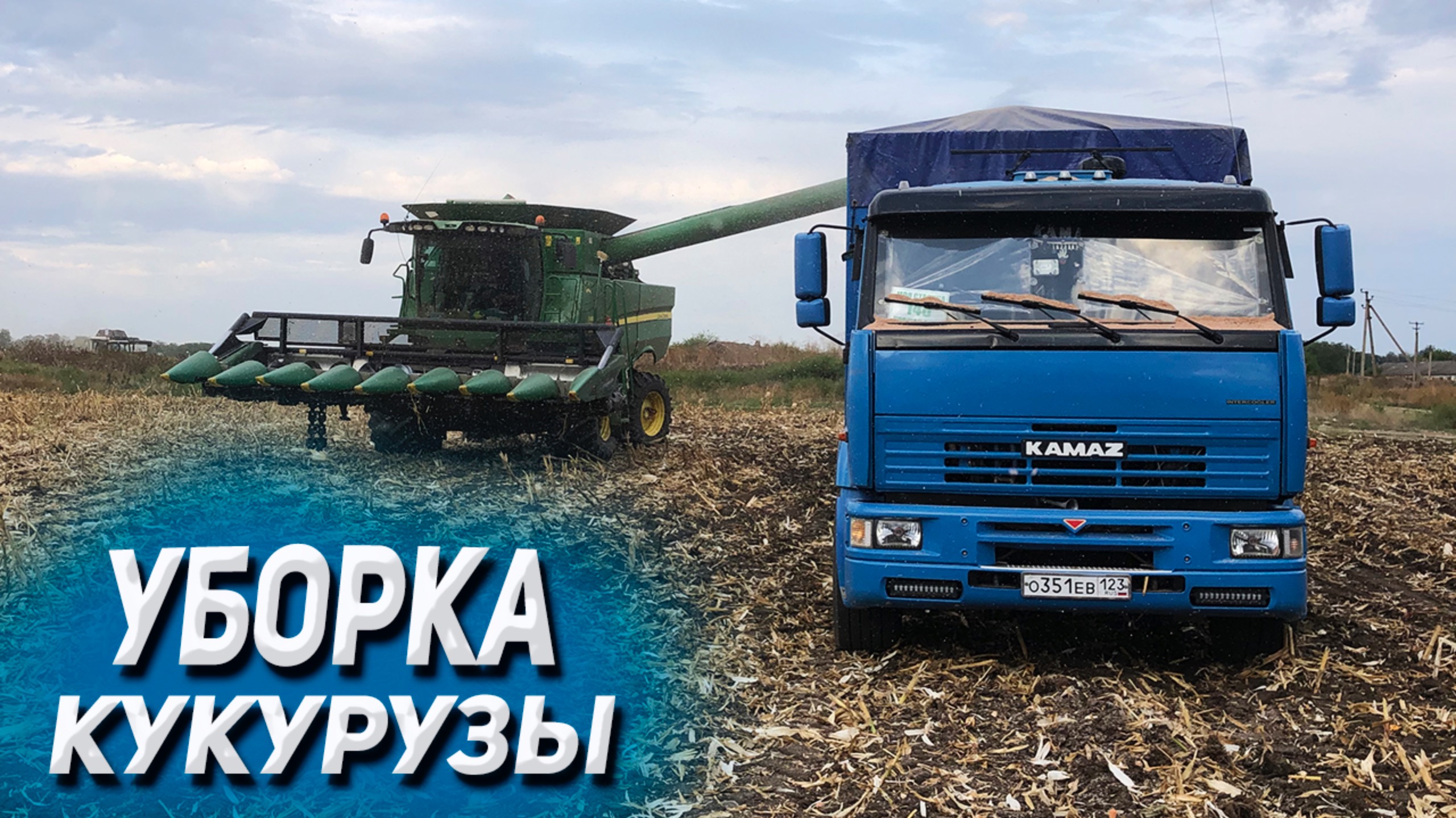 Уборка кукурузы на КАМАЗЕ 2024