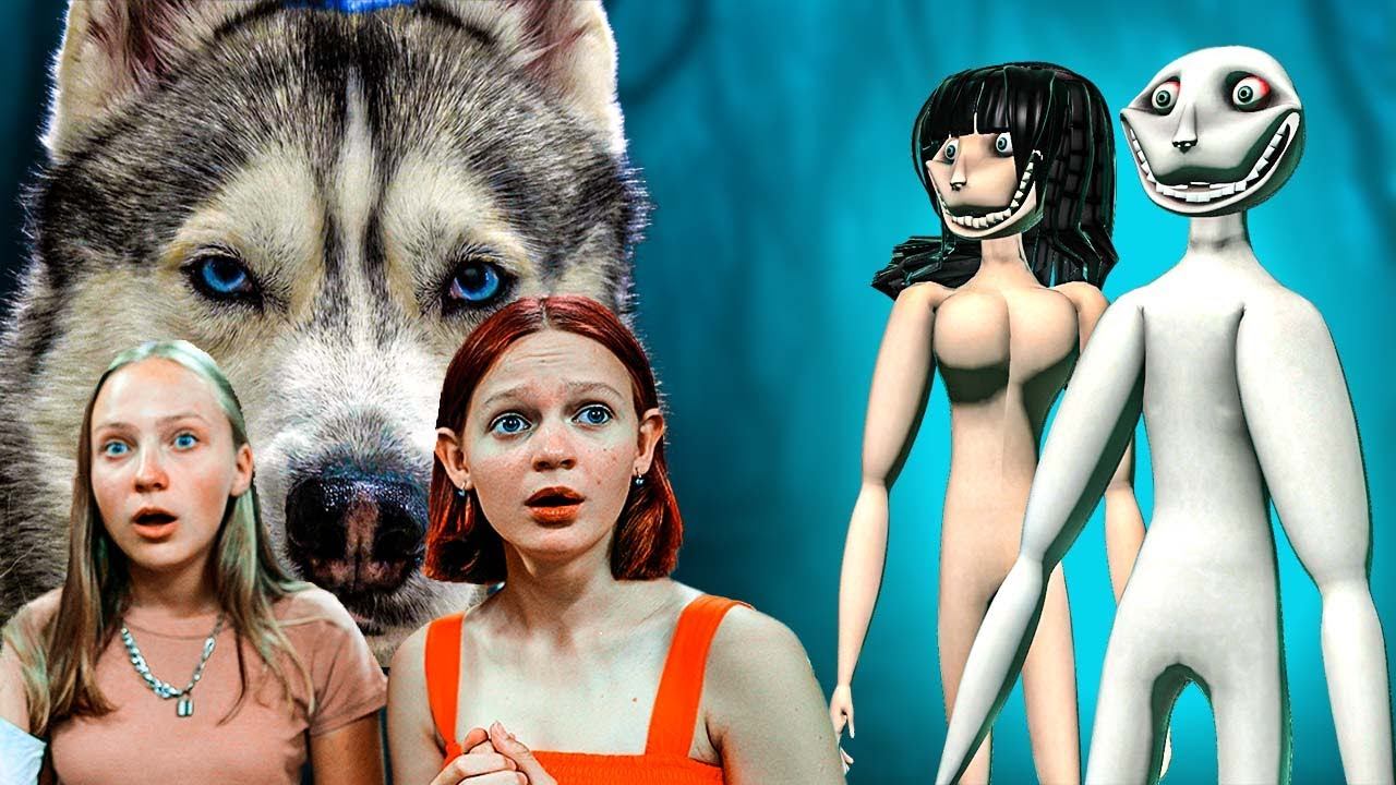 ЛЮТОВОЛК БАНДИТ и Cool Kids VS ЧЕЛОВЕК и ДЕВКА ЗА ОКНОМ! 2я часть! Хаски Бандит Говорящая собака смотреть онлайн