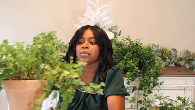 English Ivy Houseplant Varieties | Hedera Helix Vines смотреть онлайн