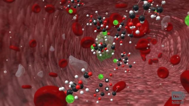 How Does a PET Scan Work? смотреть онлайн
