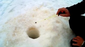 Ловля ельца со льда