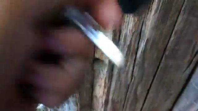 Летний баз для овец. Овцы привели чужую овцу. смотреть онлайн