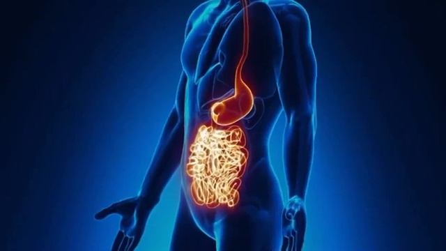 Базовый сет FitLine Aktivize, Basics, Restorate Технология NTC смотреть онлайн