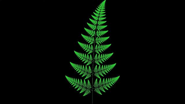 Barnsley Fern fractal animation with python (with sourcecode) смотреть онлайн