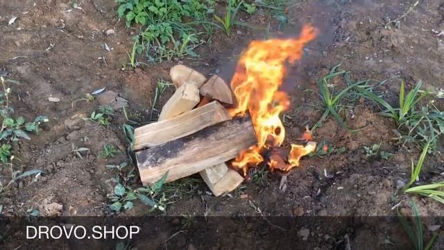 Горение Дубовых Дров - DROVO.SHOP смотреть онлайн