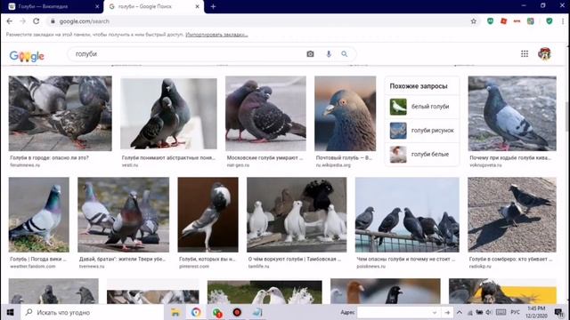 Кто такой голубь смотреть онлайн