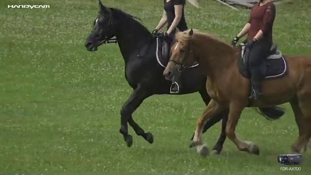 4K HDR kamera Sony FDR-AX700B смотреть онлайн