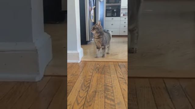 Опасность на каждом шагу