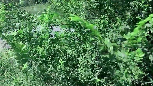 исток великой русской реки