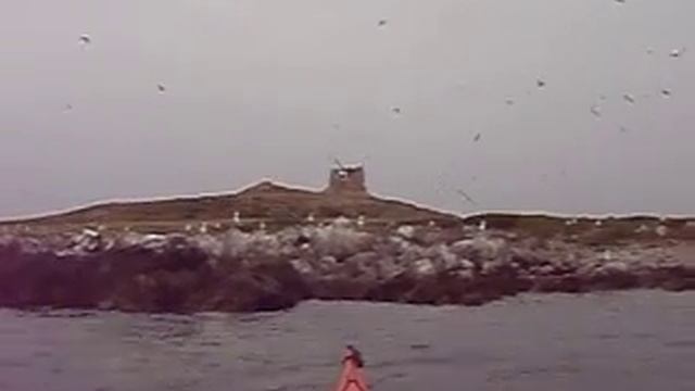 Isola delle Femmine from the kayak -Sicily смотреть онлайн
