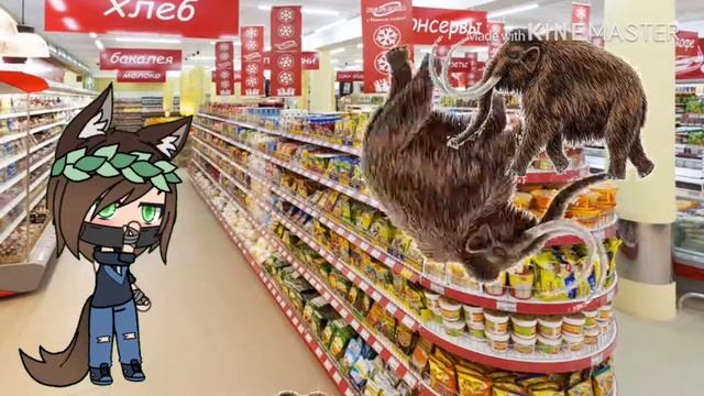 Сон перед контрольной. смотреть онлайн