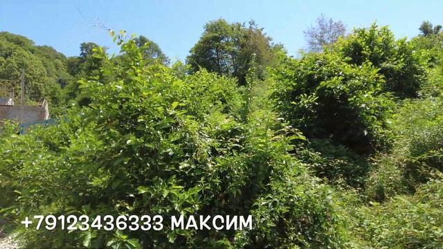 Срочная продажа! Участок 5 соток в Сочи(Мацеста). Шанс! смотреть онлайн