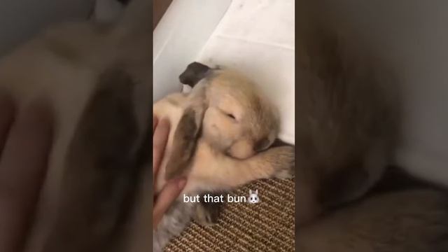 @dantethelop Is Our Whole World