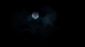Звук ночи - Night sound