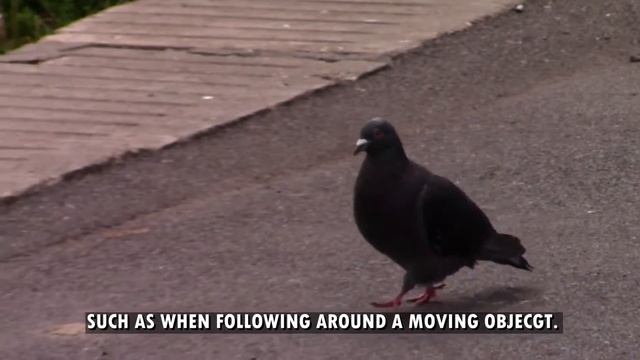 BETTER VIDEOS WITH CHEAP GEAR - CANON LEGRIA HF R606 смотреть онлайн