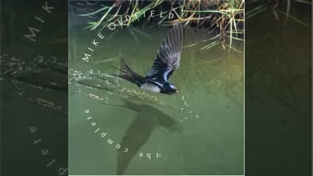 MIKE OLDFIELD - Wonderful Land (1980)