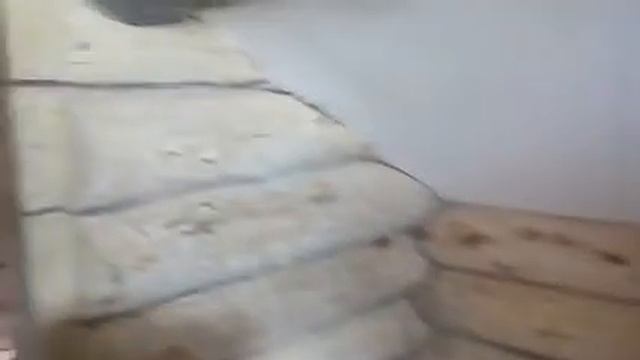 #Шлифовка#Покраска#Герметизация#Реставрация#Выпоним заказ.23.05.2019.