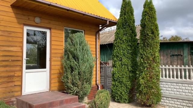 Не была 3 года на даче... Что случилось с туями. смотреть онлайн