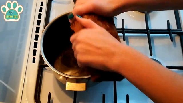 ПРИМЕНЕНИЕ И ПРИГОТОВЛЕНИЕ КОКОСОВОГО СУБСТРАТА смотреть онлайн