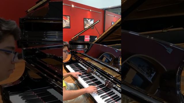 STEINWAY & SONS Model D смотреть онлайн