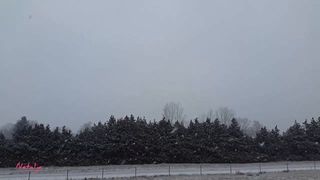Потрясающе красивые стихи Вероники Тушновой о любви. смотреть онлайн