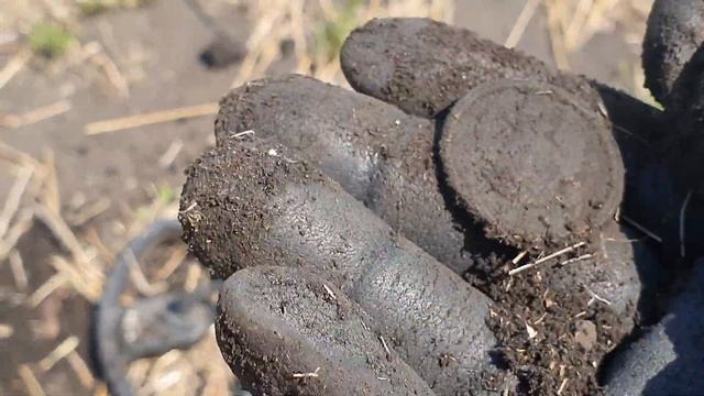 Весенний выезд на коп монет. По заброшенным деревням, в поиске старины и клада с металлоискателем. смотреть онлайн