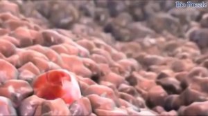 "НАУЧНАЯ ТАЙНА ДНК "... Врач доказал существование Бога