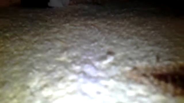 Как сделать соску для реборна смотреть онлайн