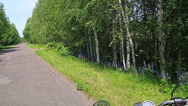 Обзорчик на дороге, еду с работы смотреть онлайн