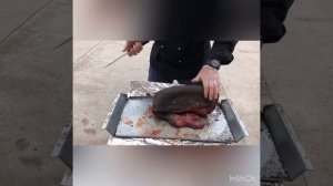 Как приготовить Лосиную Губу. Как просто опалить лосиную губу