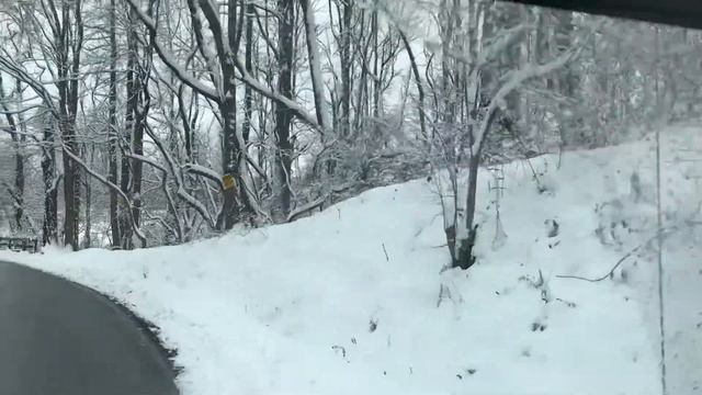 Jeeping around Franklin Gibson Rd 13 Jan 2019 #4 смотреть онлайн