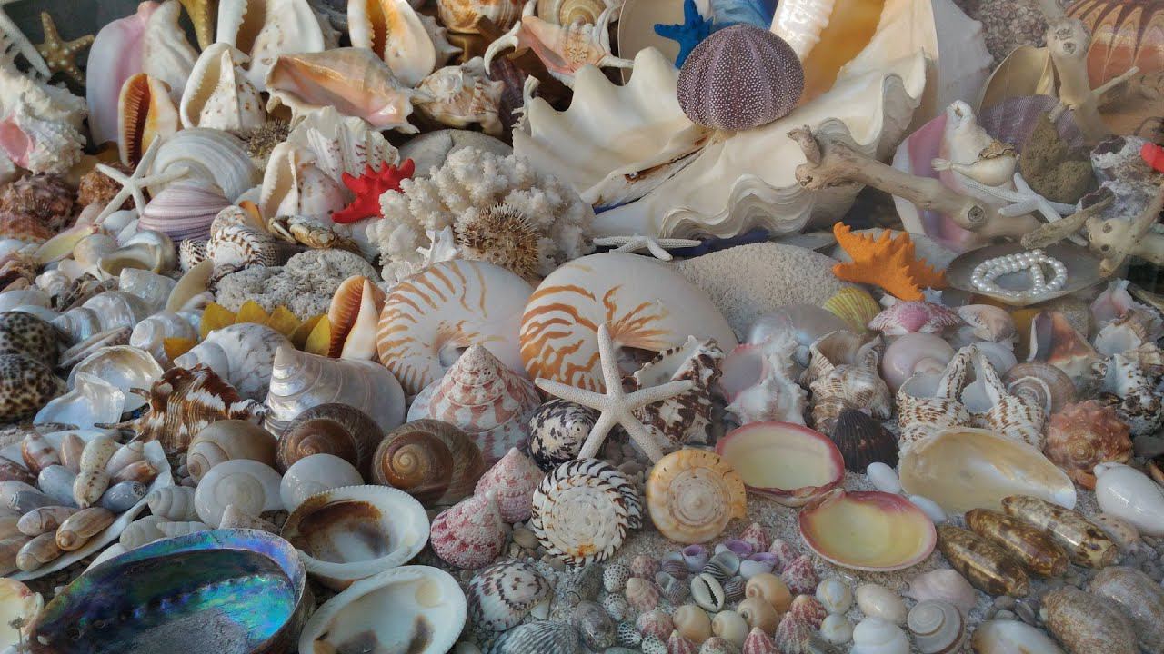 Отдых в Черногории: поездка в Ульцинь. Montenegro 2016. смотреть онлайн