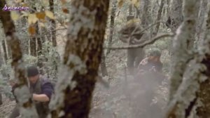 RadioTapok - Высота 776