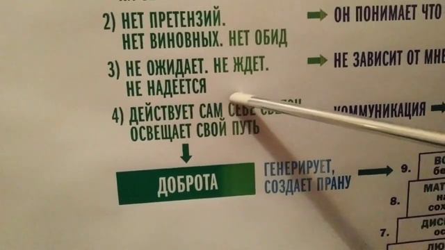 Жанат Кожамжаров о Важности Доброты во взаимоотношениях // Качества Числа Сознания //Сюцай смотреть онлайн