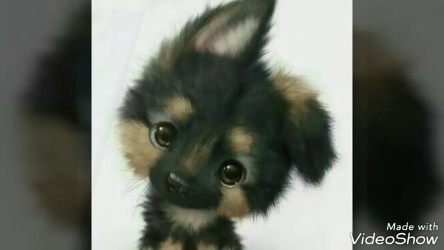 Мое первое видео. Хочу што би вам понравилась смотреть онлайн
