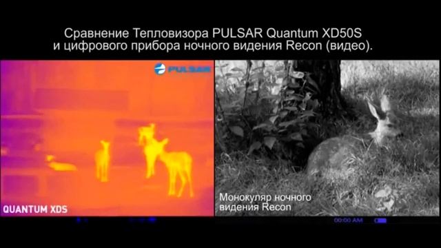 Тепловизор PULSAR Quantum XD50S vs приборы ночного видения смотреть онлайн