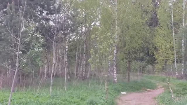 Весенние загадки - Читает Т.А. Соколова. Библиотека мкрн. Луговая смотреть онлайн