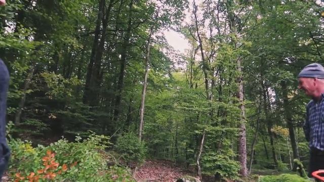 ARRIVING IN SWEDEN VANLIFE EUROPE