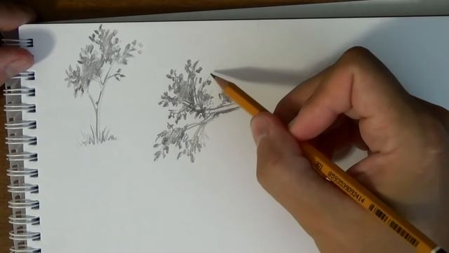 Основы рисунка. Часть 16 - как быстро и просто рисовать листья деревьев смотреть онлайн