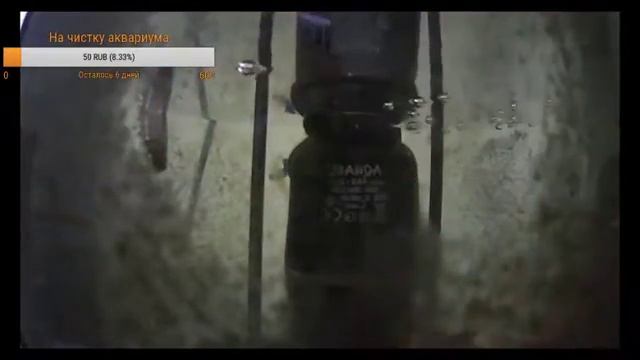 Помогите рыбке почистить аквариум!!! Help goldfish aquarium clean !! смотреть онлайн