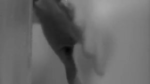 Психо Знаменитая сцена убийства в душе