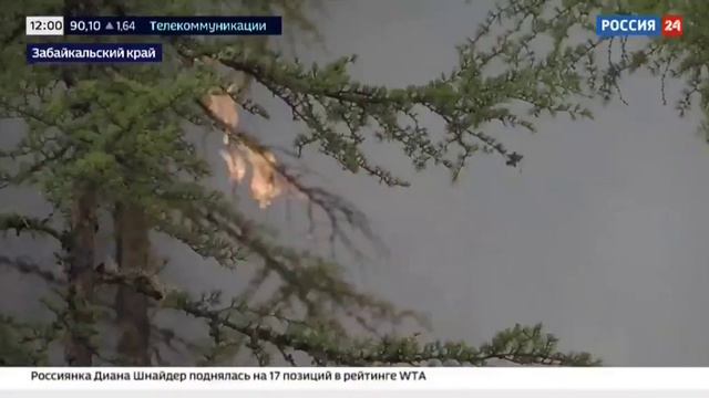 Россия 24, Борьба с лесными пожарами, 30 июня 2024 смотреть онлайн