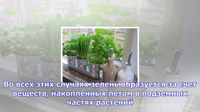 Строительные Решения