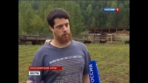 Смешной сыровар. Не будут вашего итальянского сыра Джастас Уолкер