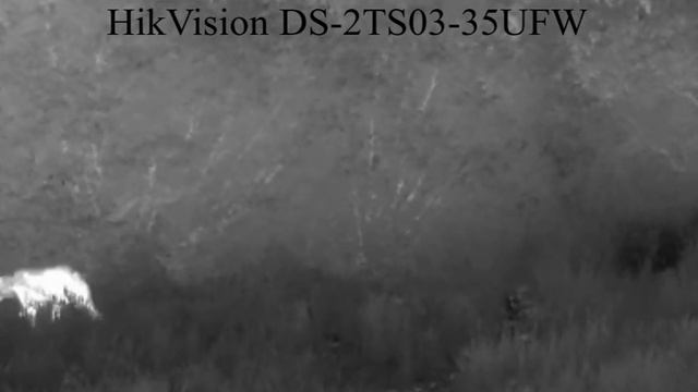 Тепловизор HikVision DS-2TS03-35UFW на охоте смотреть онлайн