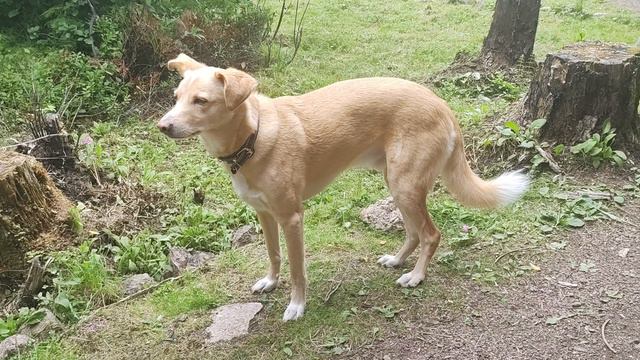 Гулять или не гулять?